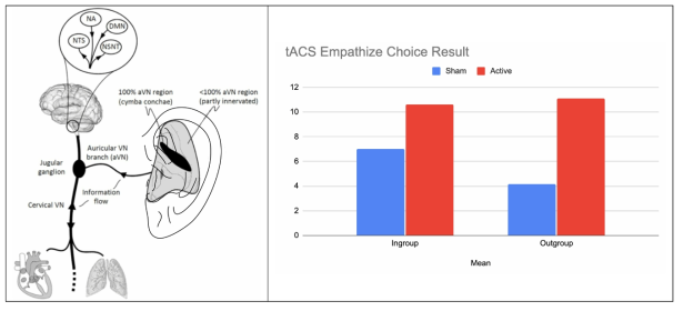 (좌) taVNS의 뇌 자율신경계에 대한 영향과 연결 네트워크. (우)taVNS 적용군(active)과 대조군 (sham)의 내집단과 외집단에 대한 공감 반응 선택 결과