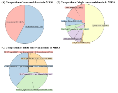 MRSA 표적 엔도리신 도메인 조합 분석 결과