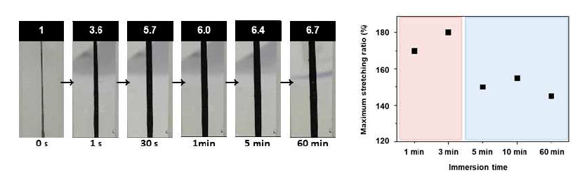 클로로황산의 담금 시간에 따른 섬유의 swelling 변화 및 최대 stretching ratio 확인