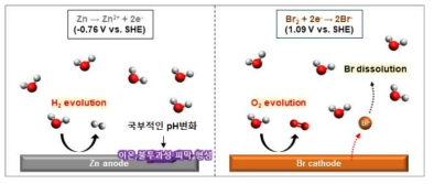 아연 음극에서의 수소발생 및 브롬 양극에서의 산소발생 그림