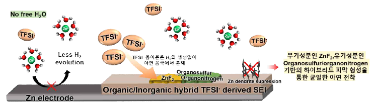 Zn(TFSI)2 염 도입에 의한 HER 억제 및 유기/무기 하이브리드 피막 모식도