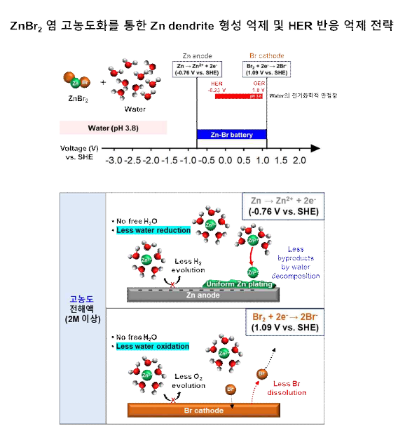 염 고농도화를 통한 Zn dendrite 형성 억제 및 HER 반응 억제 전략