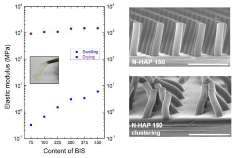 가교제 비율에 따른 탄성계수 측정 결과 (좌) 및 온도에 따른 필라 구조 변화 (우)