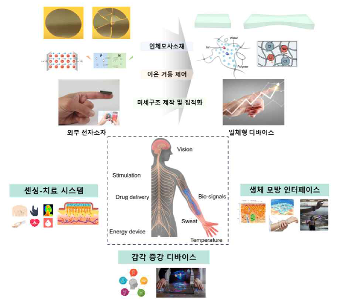 생체 특성 구현을 위한 이온 거동 제어 소재/소자 응용 개념도