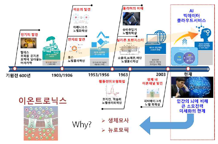 이온트로닉스의 연구 개발 역사와 전개 방향