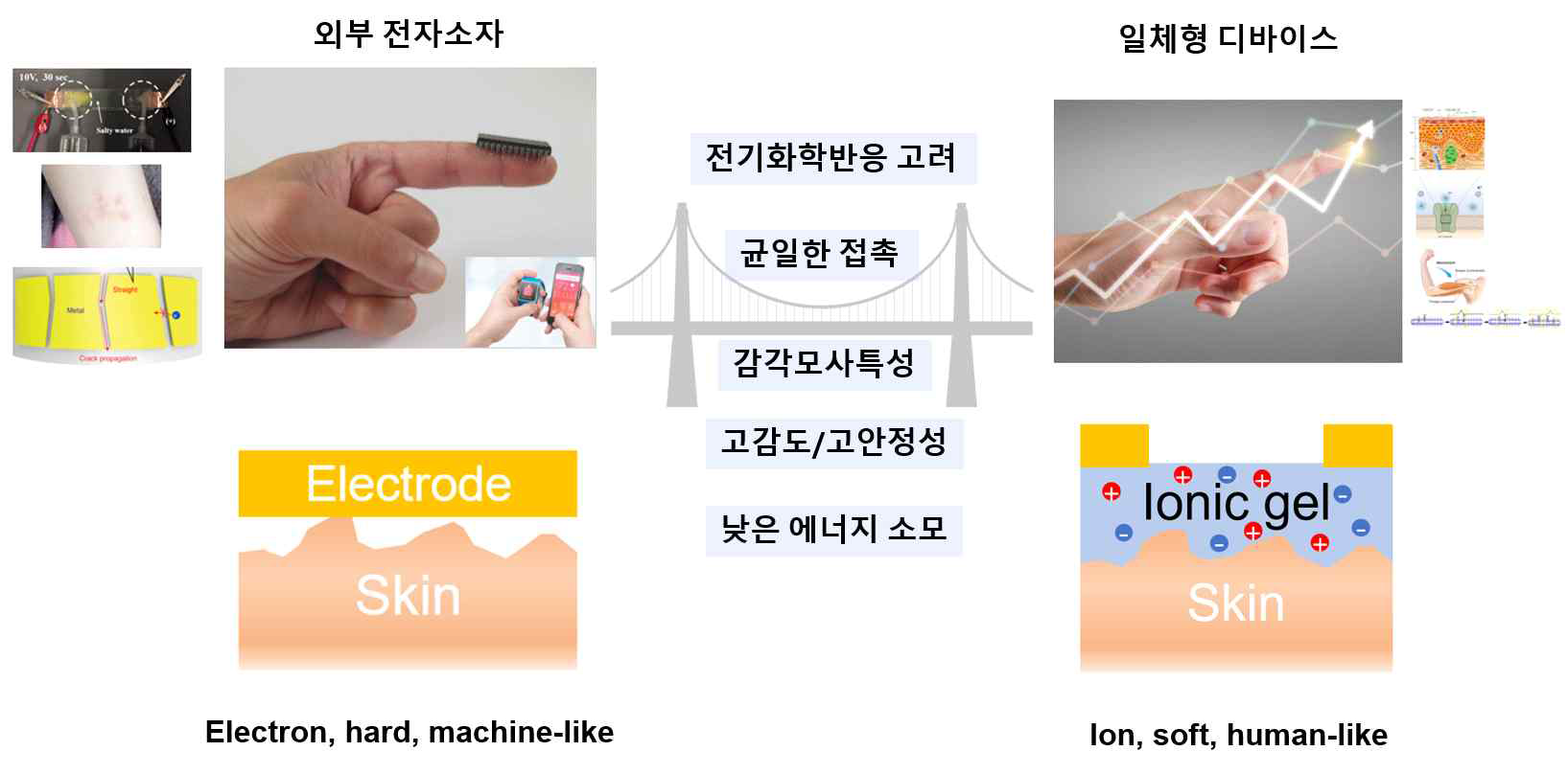 생체 모사 일체형 디바이스와 외부 전자소자의 비교