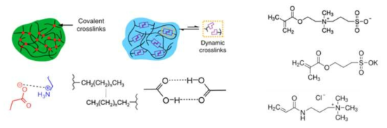 가역적 결합의 종류 (좌) 및 이온성 단량체의 예 (우)