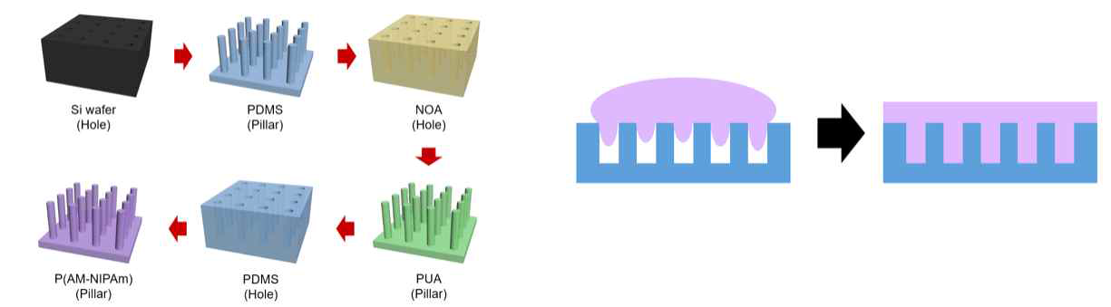 미세구조 제작 공정의 모식도 (좌) 및 젖음 특성 차이에 따른 구조 형성 특성 비교 (우)