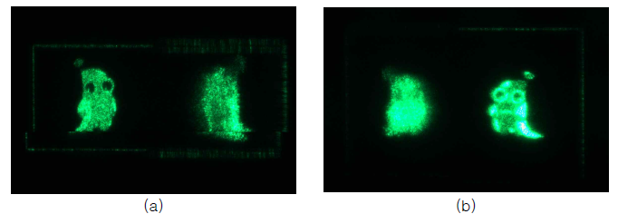 에뚜리 로고의 2x2 매크로 픽셀 기반 Double-Phase 복소변조의 광학적 복원 영상: (a) 초점거리 70cm (b) 초점거리 80cm