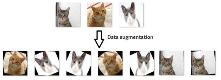 데이터 증강의 예시