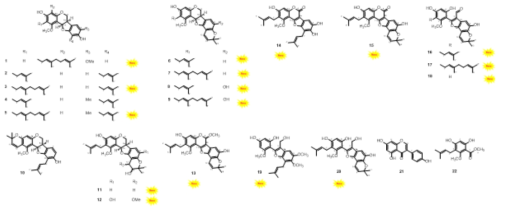 Structures of compounds isolated from L. bicolorroots