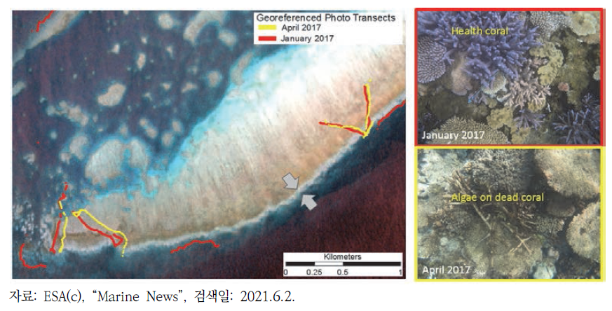 Sentinel-2 위성에서 얻은 산호초 백화현상 이미지 자료