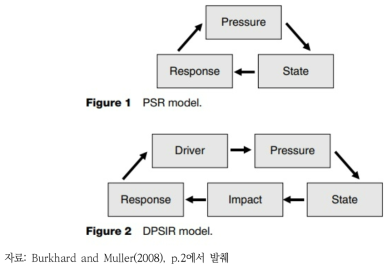 통상적인 EIF 모델인 PSR 및 DPSIR 모델