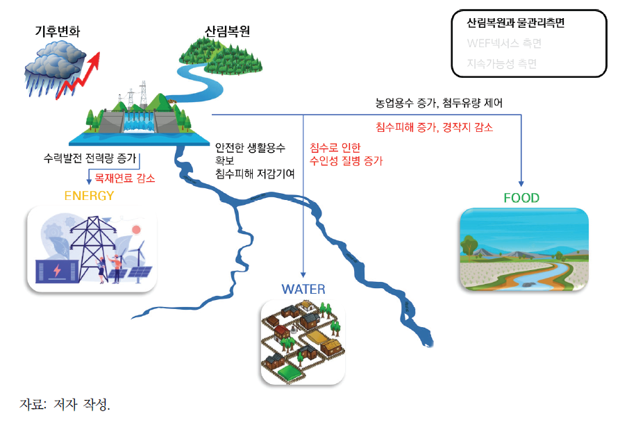 산림복원과 기후변화가 물관리에 미치는 영향