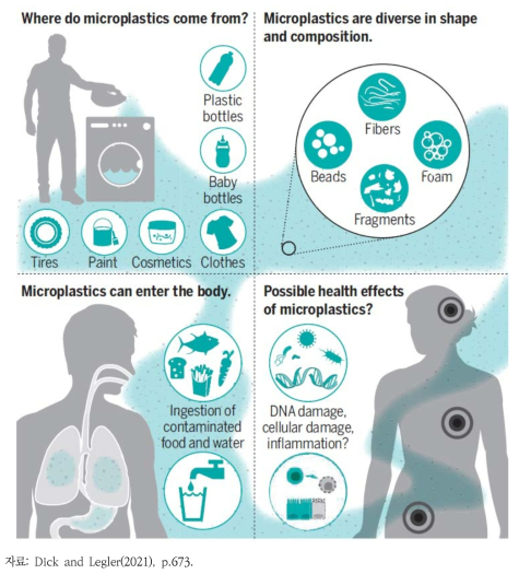 미세플라스틱 발생원, 유형, 노출 및 건강 영향