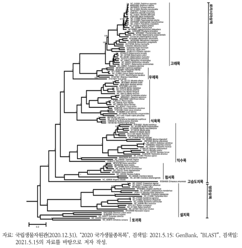 Bayesian inference 기반의 한국산 포유류의 미토콘드리아 유전체 계통수