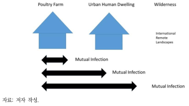 지역과 국가 간 동물 및 인간이 관여된 상호 감염 경로와 팬데믹의 발생