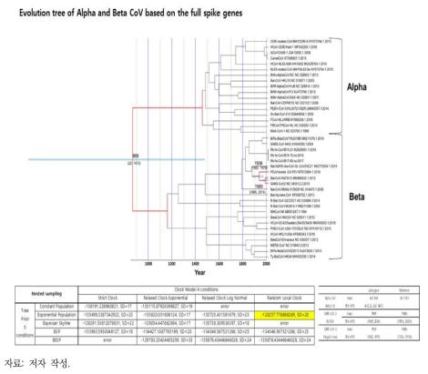 국내 SARS-related bat CoV와 SARS-CoV-2의 진화 분석