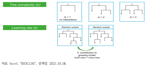 TC, LR 변수파라미터 조절에 따른 의사결정 트리 모형 구축