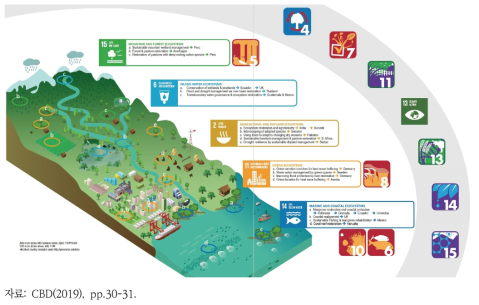 SDGs와 생물다양성협약의 아이치타겟에 따른 목표 달성에 도움이 되는 생태계 기반 적응(EbA)과 생태계 기반 재난위험 저감(Eco-DRR)의 사례