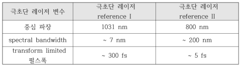 극초단 레이저 펄스 모사 시스템