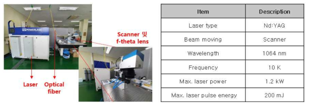 레이저 제염 용 레이저 시스템 구축