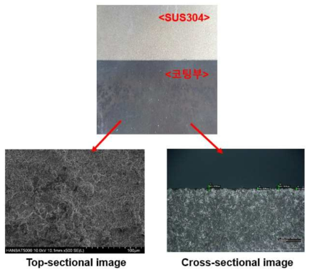 니켈페라이트 코팅층의 top-sectional 이미지와 cross-sectional 이미지