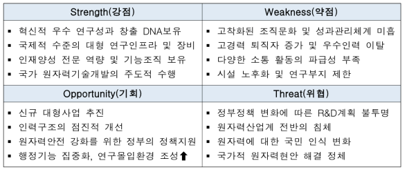 한국원자력연구원 SWOT 분석