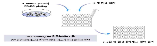 1차 임상화합물 스크리닝 방법 개요