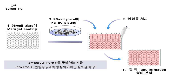 2차 스크리닝 방법 개요