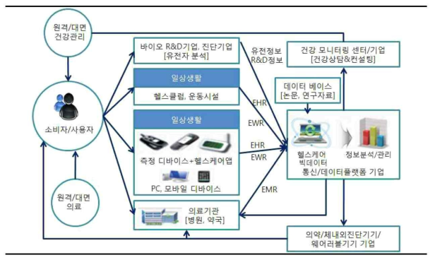 디지털 헬스케어 산업 구조 (ETRI 미래전략 연구소 (2016.12)