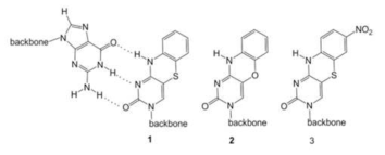 miRNA 탐지를 위한 다양한 종류의 형광 염기 유사체 (Fluorescent Base Analogue, FBA)