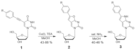 Furanouridine과 pyrrolocytidine 유사체 합성