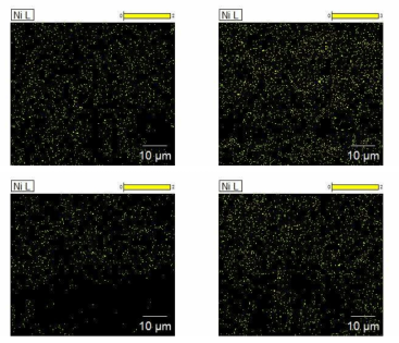 열유체 외부순환식 코팅장치로 제조된 NiOx/carbon paper 구조체 표면의 Ni 성분 mapping