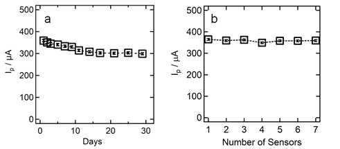 하이드라진 센서의 장기적인 안정성(좌)과 재현성(우)을 측정한 전류값 데이터