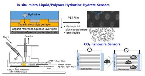마이크로 액체/젤 계면 기반의 하이드라진 전류법 센서 및 나노와이어 기반의 CO2 저항센서