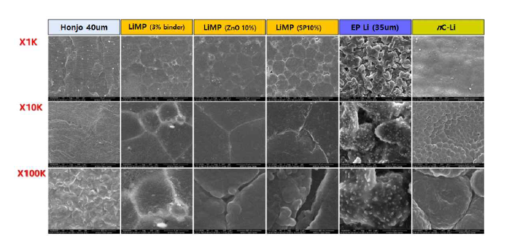 리튬금속음극의 종류별 SEM 사진