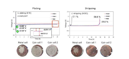 셀 타입 별 전착 및 stripping 거동