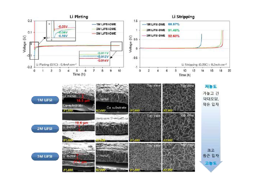 전해액 농도별 전착 거동, 전착 전극 SEM 분석 및 stripping 거동