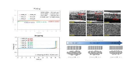 전류밀도에 따른 전착 거동 및 stripping거동