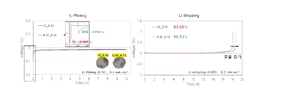 초기 전류밀도 별 전착 거동 및 stripping 거동
