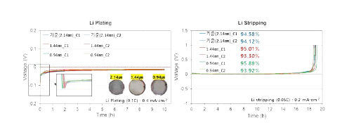 셀 부품 구성 별 리튬 전착 거동 및 stripping거동