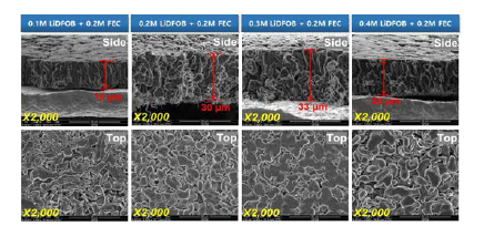 LiDFOB 첨가 비율에 따른 [LiDFOB+FEC] 복합 첨가제 전착 리튬 전극 SEM 이미지