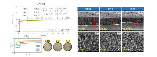 전류밀도에 따른 전착 거동 및 전착 리튬 SEM이미지