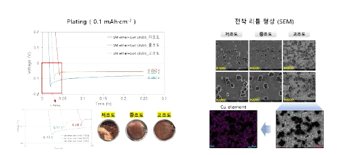 Cu 조도 별 리튬 전착 거동 및 SEM 이미지