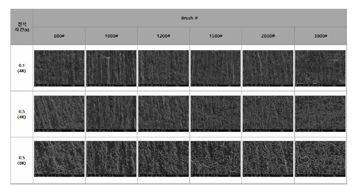 Brush # 별 & 초기 전착 거동 SEM 이미지