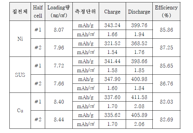 초기 용량 및 효율 측정 결과