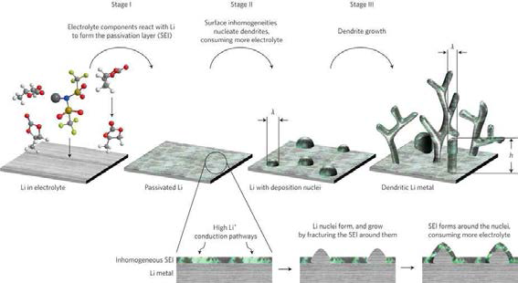 리튬금속 수지상 형성 메커니즘을 나타낸 모식도