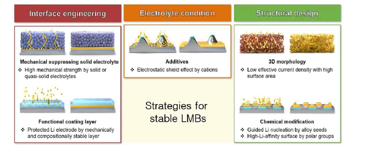 안정적인 Li Metal Battery를 위한 연구 개발 분야