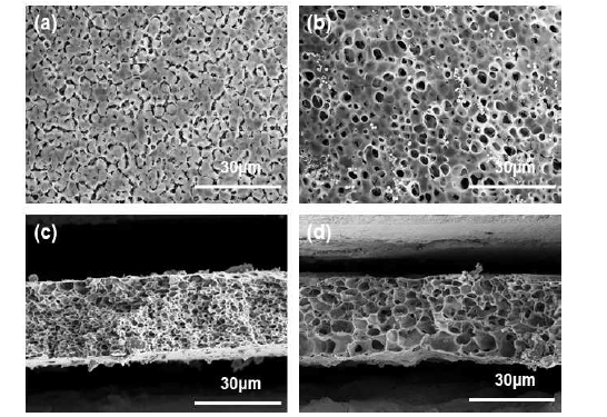 PVdF-HFP 다공성 구조체의 윗면 및 단면 SEM 사진. (a) 15wt%, (b) 10wt% PVdF-HFP 막의 윗면 이미지, (c) 15wt%, (d) 10wt% PVdF-HFP 막의 단면 이미지